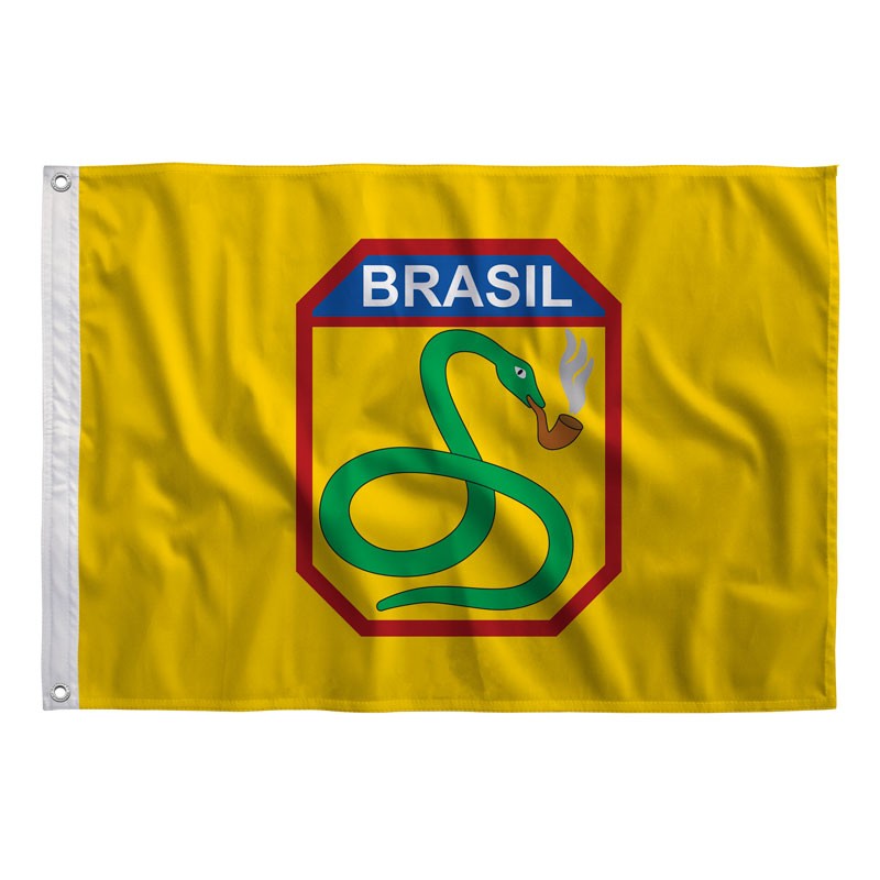 For�a Expedicion�ria Brasileira