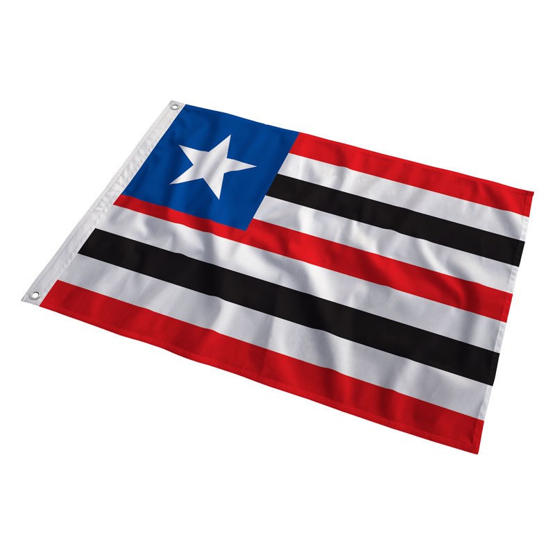 Bandeira Oficial Estado do Maranhão Bandeira1